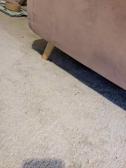 Photo of free Sofa bed (Camberley GU15) #4