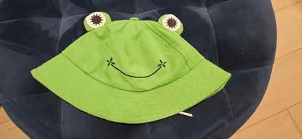 Photo of free Frog bucket hat (Roncesvalles) #1