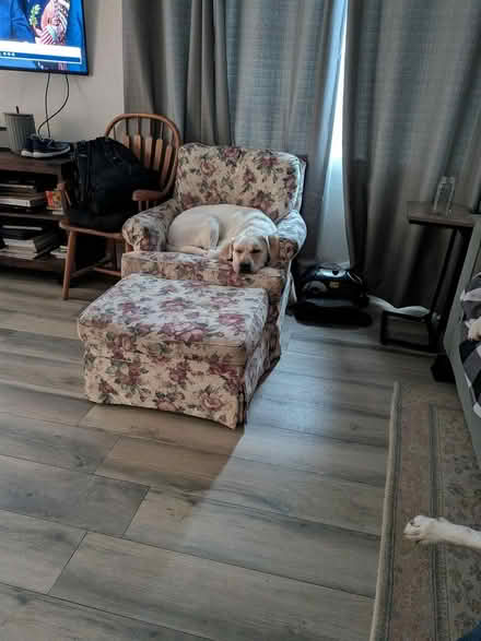 Photo of free couch and chair with Ottoman (East end of Ventura) #1