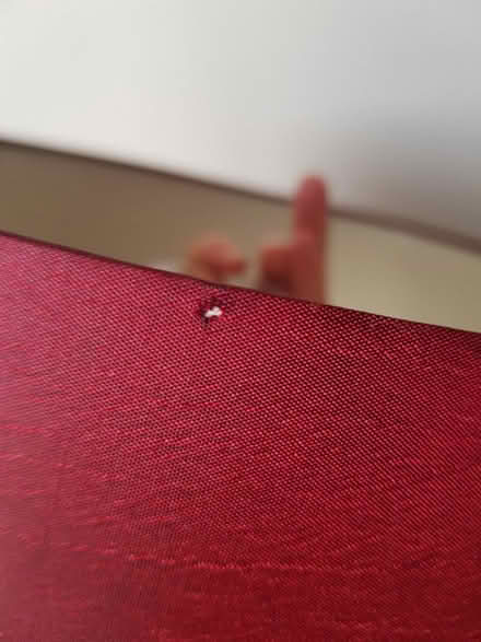 Photo of free Burgundy lampshade (BA1) #3