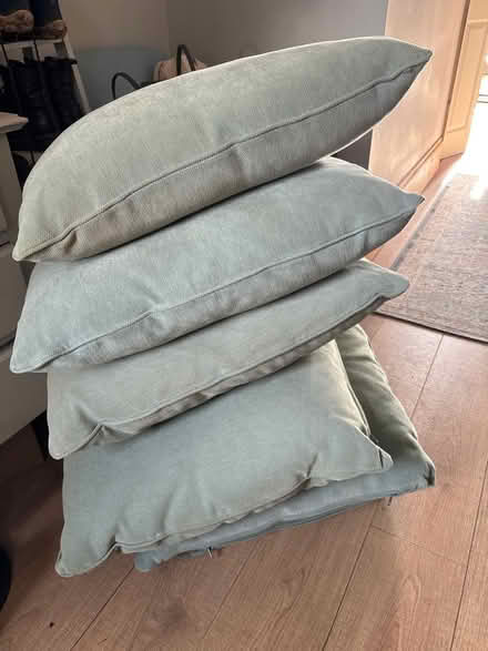 Photo of free Large green cushions (CB21) #1
