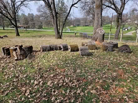 Photo of free firewood (Auburn, near Lake of the Pines) #4