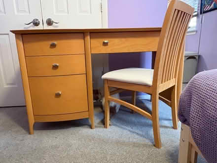 Photo of free Student desk and chair (West Bloomfield) #1