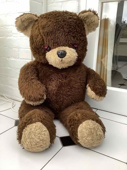 Photo of free Gigantic Teddy (High Wycombe HP13, Amersham Rd) #1
