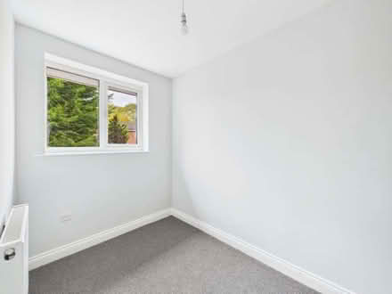 Photo of free carpet (Woodville DE11) #2