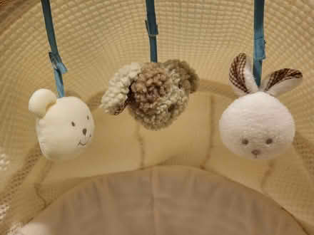 Photo of free Moses basket and stand (Norton Sheffield S8) #3