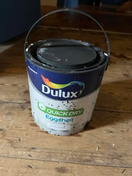 Photo of free Eggshell paint (Ladywell SE13) #1