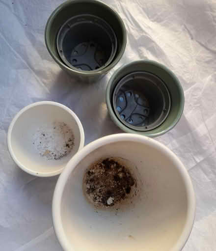 Photo of free Planters (Kingsway) #2