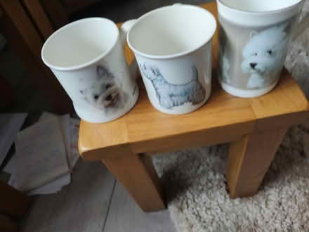 Photo of free Westie mugs (Leighton Buzzard LU7) #1