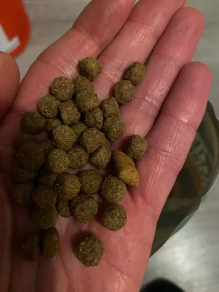 Photo of free Dry cat food (Waterlooville PO7) #3