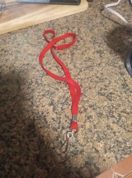 Photo of free Lanyard / String necklace (Peekskill, NY) #1