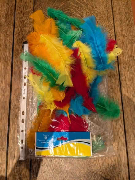 Photo of free Feathers for crafting/fancy dress (Edinburgh EH7) #1