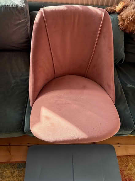 Photo of free Pink Velvet Chair without legs (Turnpike Lane, N22) #1