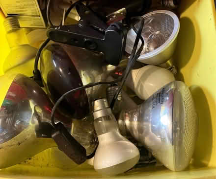 Photo of free Numerous used heat lamps (Ifton Heath SY11) #1