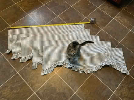 Photo of free 5 valances (West Groton) #1