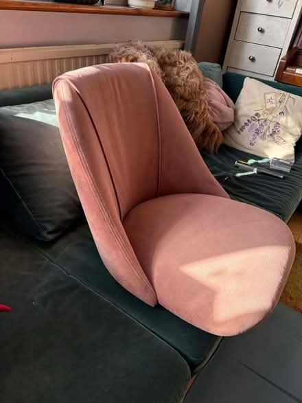 Photo of free Pink Velvet Chair without legs (Turnpike Lane, N22) #2