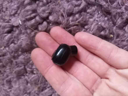Photo of free Ear buds (Shipley BD18) #2