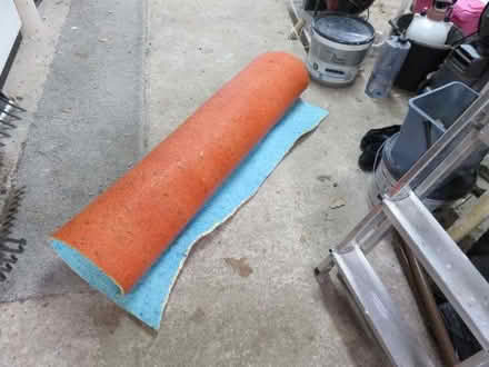 Photo of free Foam carpet underlay (Hook-a-Gate SY3) #1