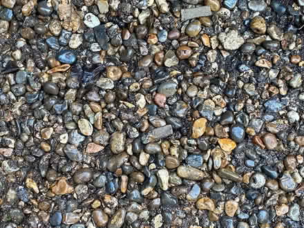 Photo of free Gravel / pea shingle (SW2 - Brixton) #3
