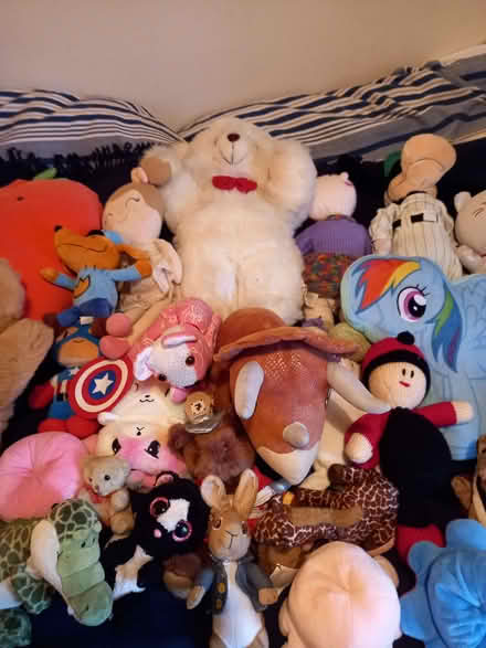 Photo of free soft toys (Southwick BN42) #2
