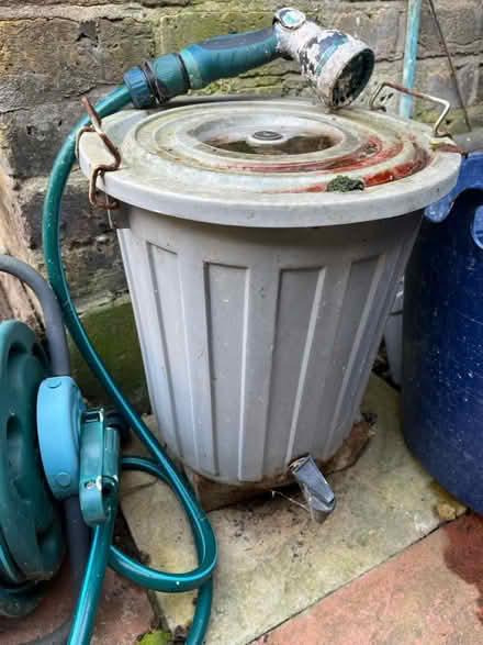 Photo of free Wormery (Ladywell SE13) #1