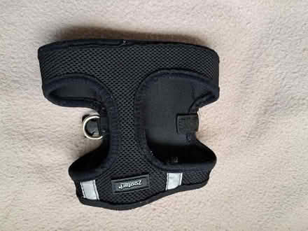 Photo of free Dogs harness (Elmstead Market CO7) #1