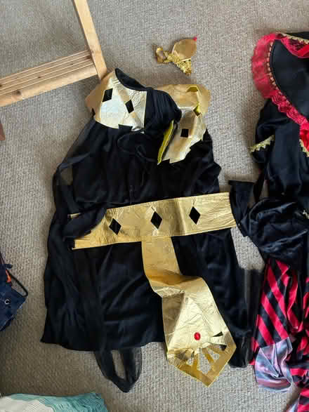 Photo of free Fancy dress various adult female (Kingswood) #3