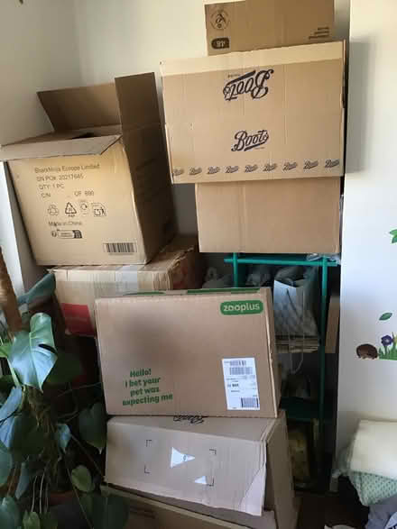 Photo of free Boxes (Redhill RH1) #1