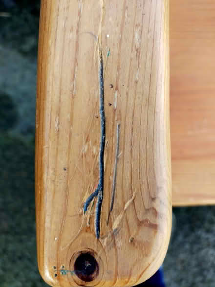 Photo of free IKEA Chair (Gobowen SY11) #4
