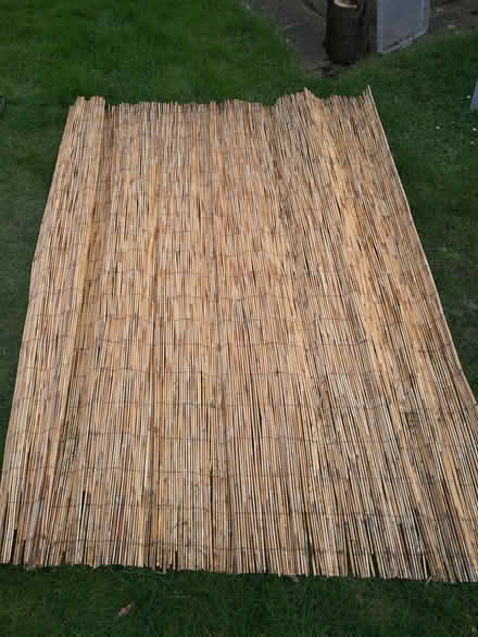 Photo of free Reed Screen (CT10) #1