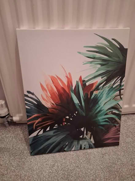 Photo of free Floral canvas (Whitwell, S80) #1