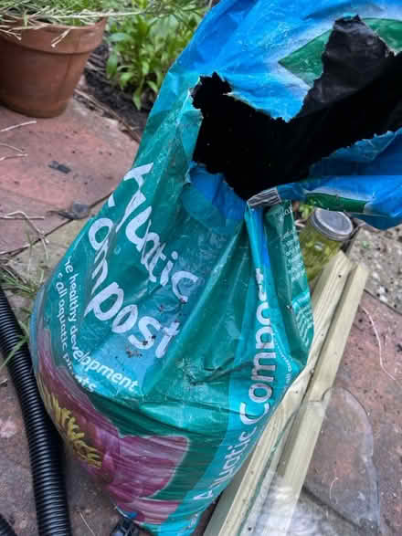 Photo of free Aquatic compost (Ladywell SE13) #1