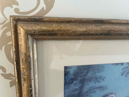 Photo of free Print Age of Venus in antique frame (Thurnby Leicester LE7) #2