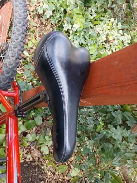 Photo of free Bike (Hayes UB3) #3