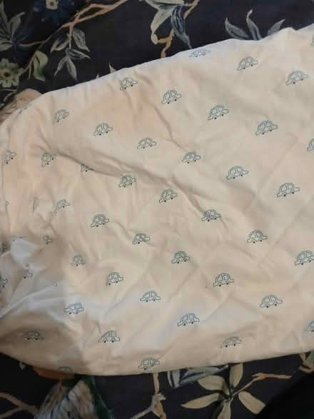 Photo of free Car cot sheet (PO19) #1