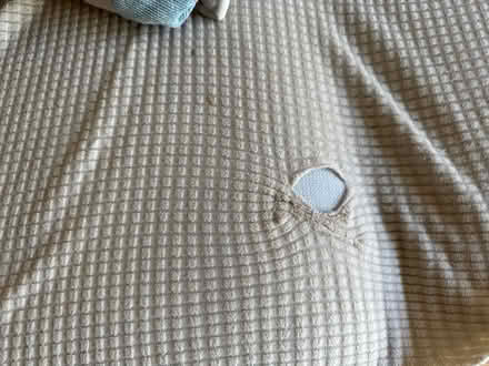 Photo of free Two Seater Sofa Cover (Slough Central SL1) #3
