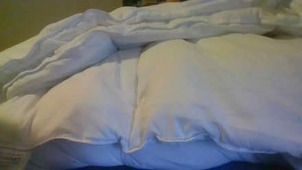 Photo of free Lyndon company duet (Bath BA2) #3