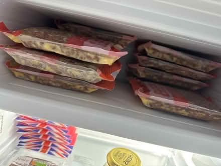 Photo of free Frozen dog fold (Adelphi PR1) #1