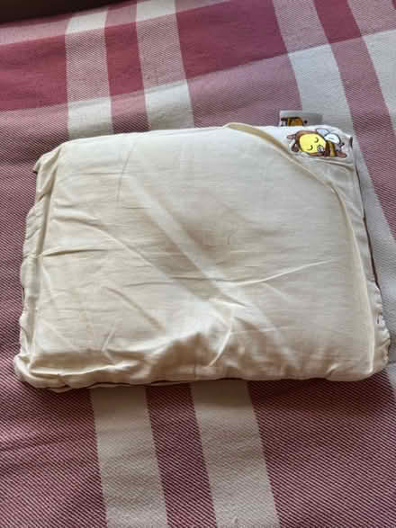 Photo of free Children Pillows with pillow cases (Elm Park RM12) #2