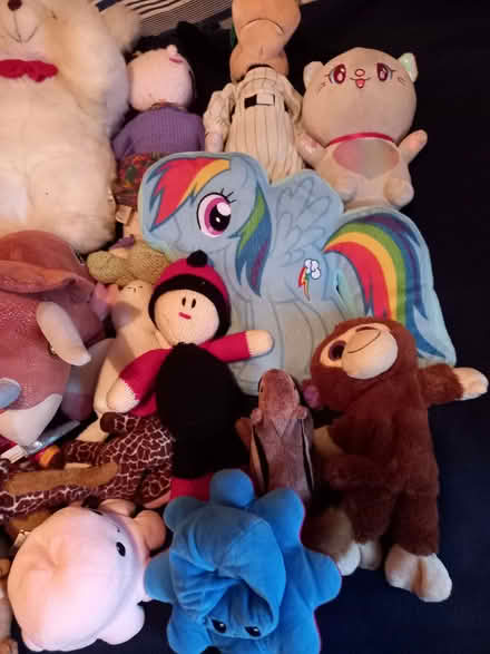 Photo of free soft toys (Southwick BN42) #4