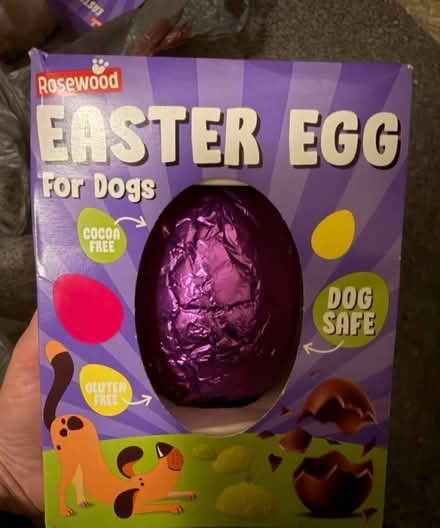 Photo of free Dog chocolate (Wood Green N22) #2