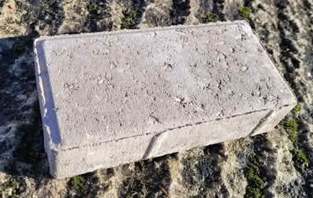 Photo of free Light Grey Pavers (Sandford, near Crediton) #1