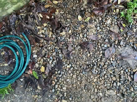 Photo of free Gravel / pea shingle (SW2 - Brixton) #4