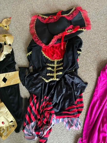 Photo of free Fancy dress various adult female (Kingswood) #1