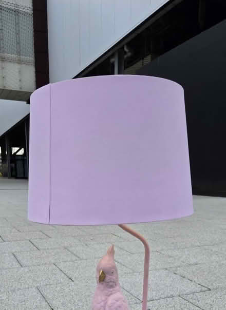 Photo of free Pink and gold lamp shade (Dalston / Stoke Newington) #3