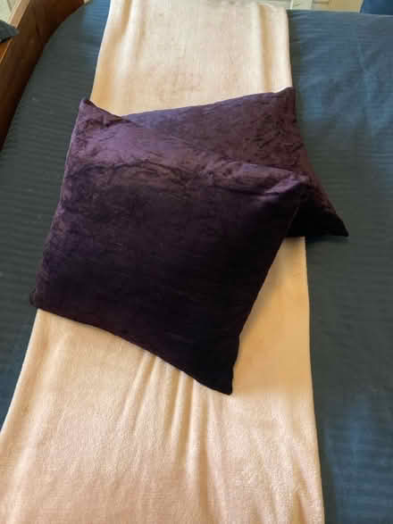 Photo of free Cushions & pillows (Manor Park E12 6D) #1