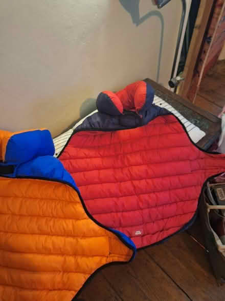 Photo of free Dog coats (Shoreham) #1