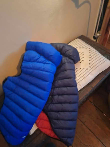 Photo of free Dog coats (Shoreham) #3