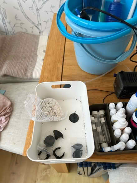 Photo of free Superfish Aquarium 40L + extras (CR3 Caterham on the hill) #4