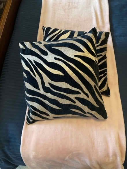 Photo of free Cushions & pillows (Manor Park E12 6D) #3